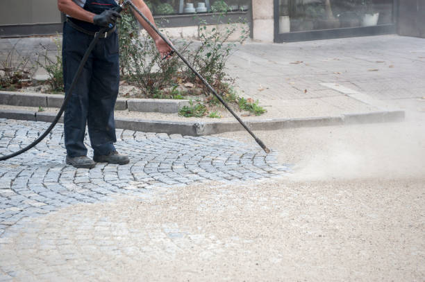 Best Dumpster Area Cleaning  in Morada, CA